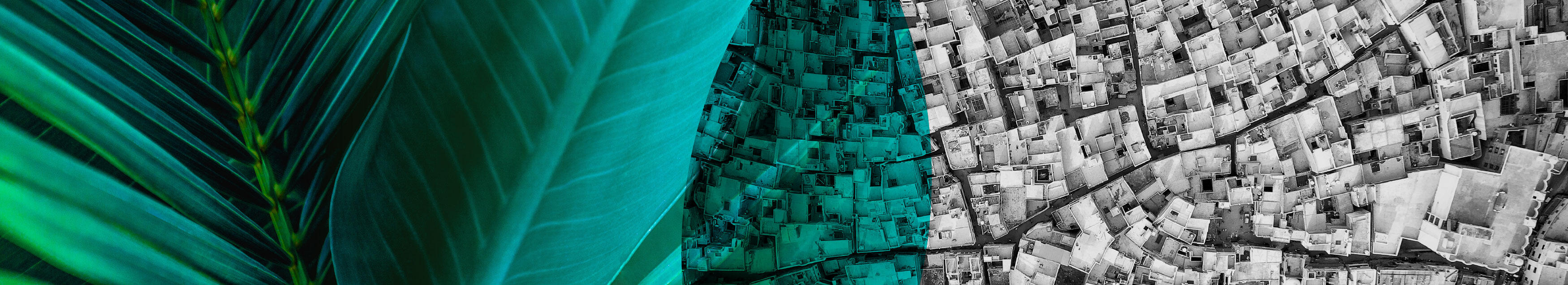 The banner across the top of the page shows a close up of palm leaves, overlapping with a aerial shot of a slum. As they overlap, they are very beautiful, and remind us of the connectedness between nature and humans, and how everything we do affects the balance.