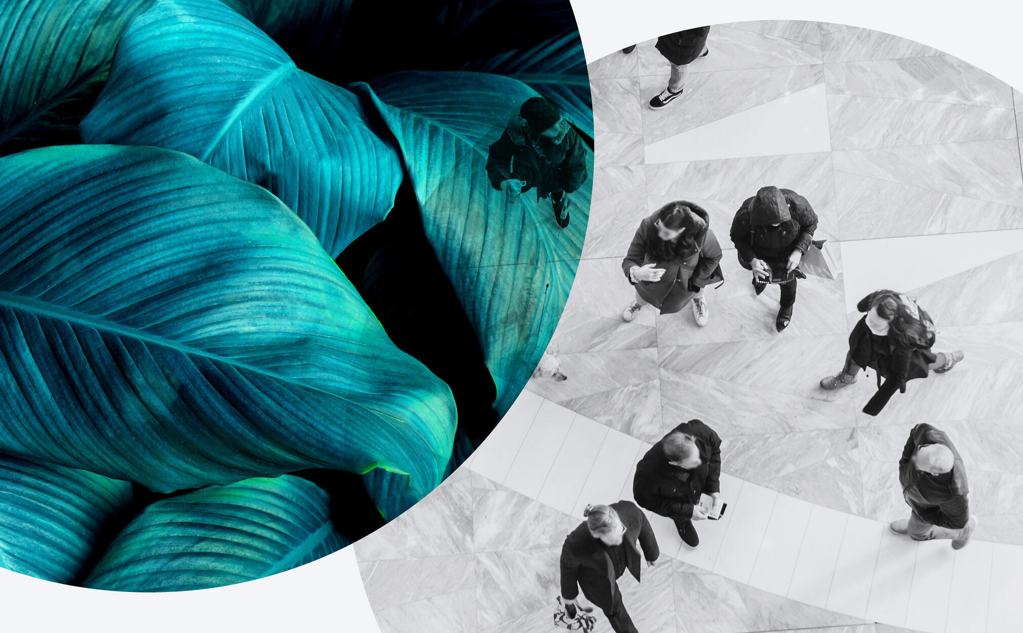 Overlapping jungle plants with a aerial scene of people standing outside in a circle, perhaps having a meeting or discussion. The overlap is there to remind us of our connectedness to nature and each other.