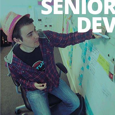 Senior developer - click here for description and to apply